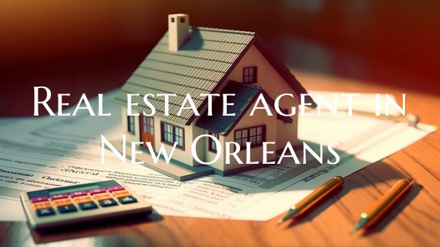 Real estate agent in New Orl...
